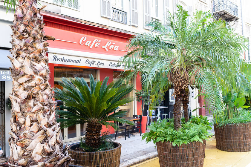 Bar des Oiseaux Un restaurant du Guide MICHELIN Nice