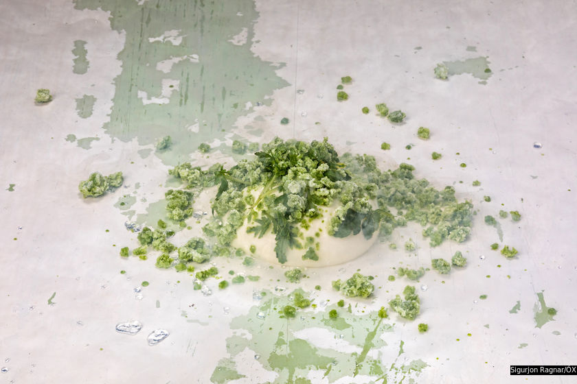 Sümac Reykjavík a MICHELIN Guide Restaurant