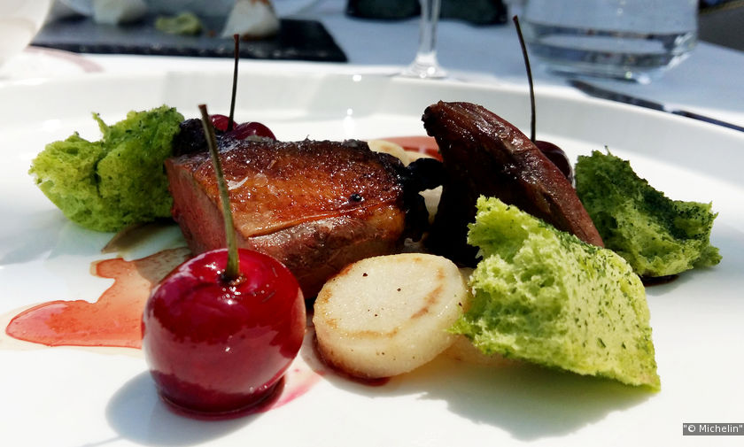 The Glass Garden Salzburg a MICHELIN Guide Restaurant