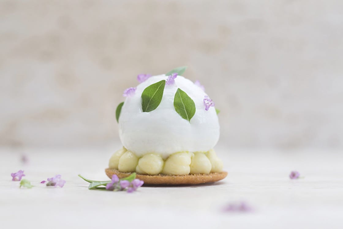 The First Day We Got Our Stars Julien Royer The First Day We Got Our Stars Julien Royer