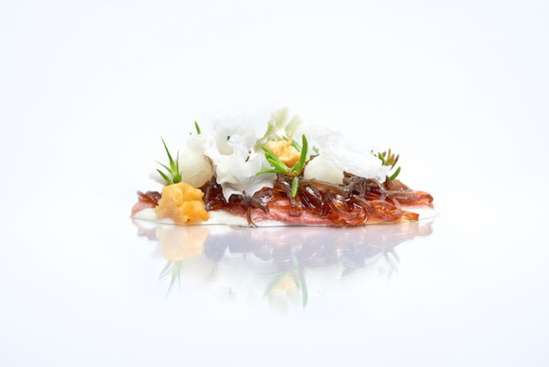 Red braised Challans duck, eggplant cream, kanten noodles, water chestnut, Chinese jelly mushrooms.