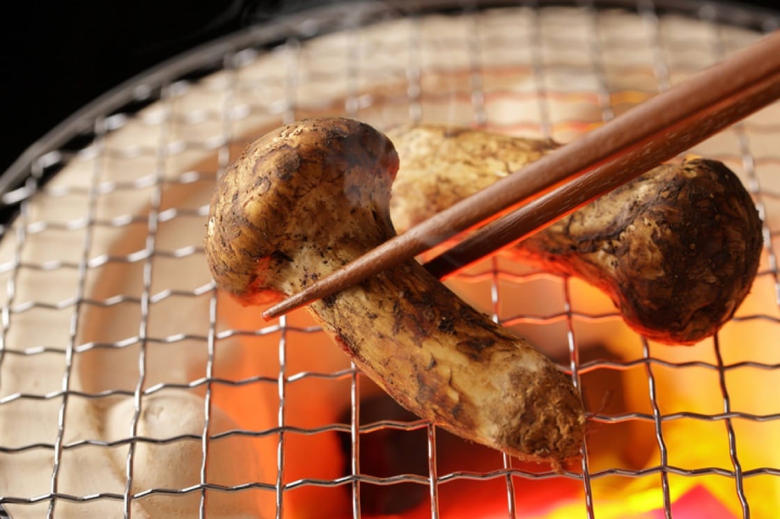 The Japanese are said to have enjoyed eating matsutake mushrooms since ancient times. Clay statues depicting them were found in ruins from the Jomon Period from 13,500 years ago to about 3,000 years ago.