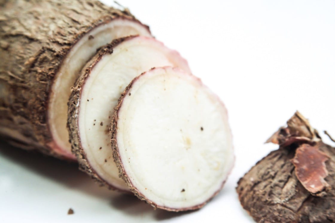 Cassava is known by many other names: manioc, mandioca, yuca, tapioca.