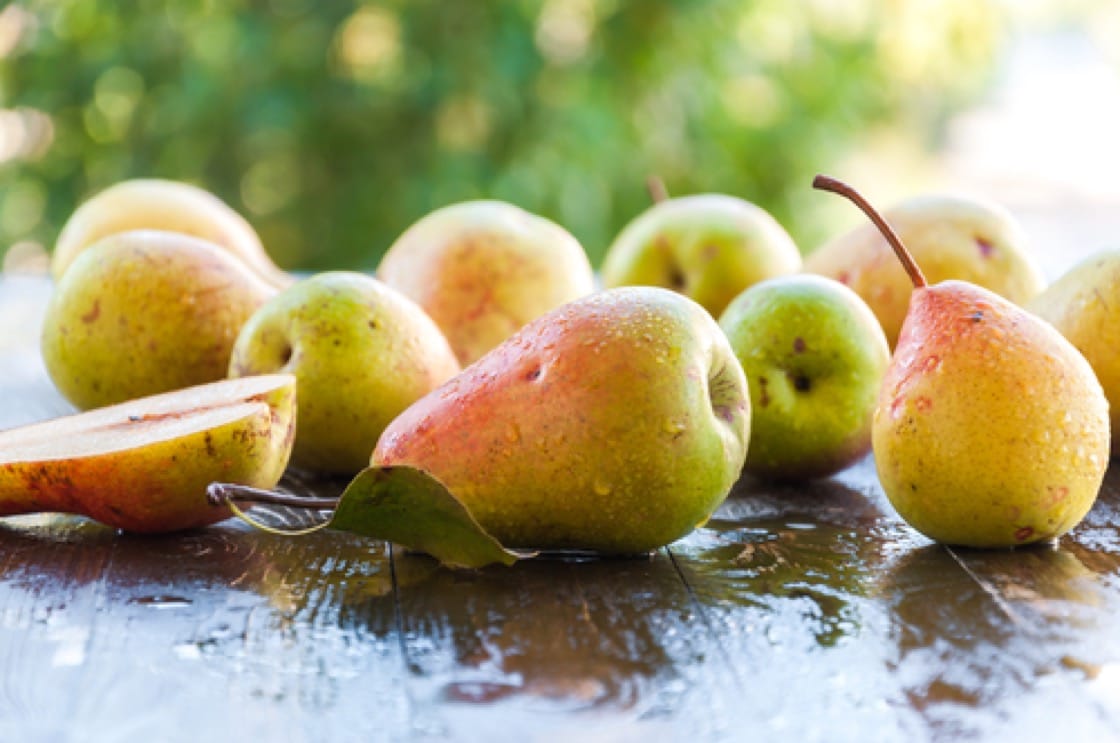 7 Types of Pears To Sink Your Teeth Into