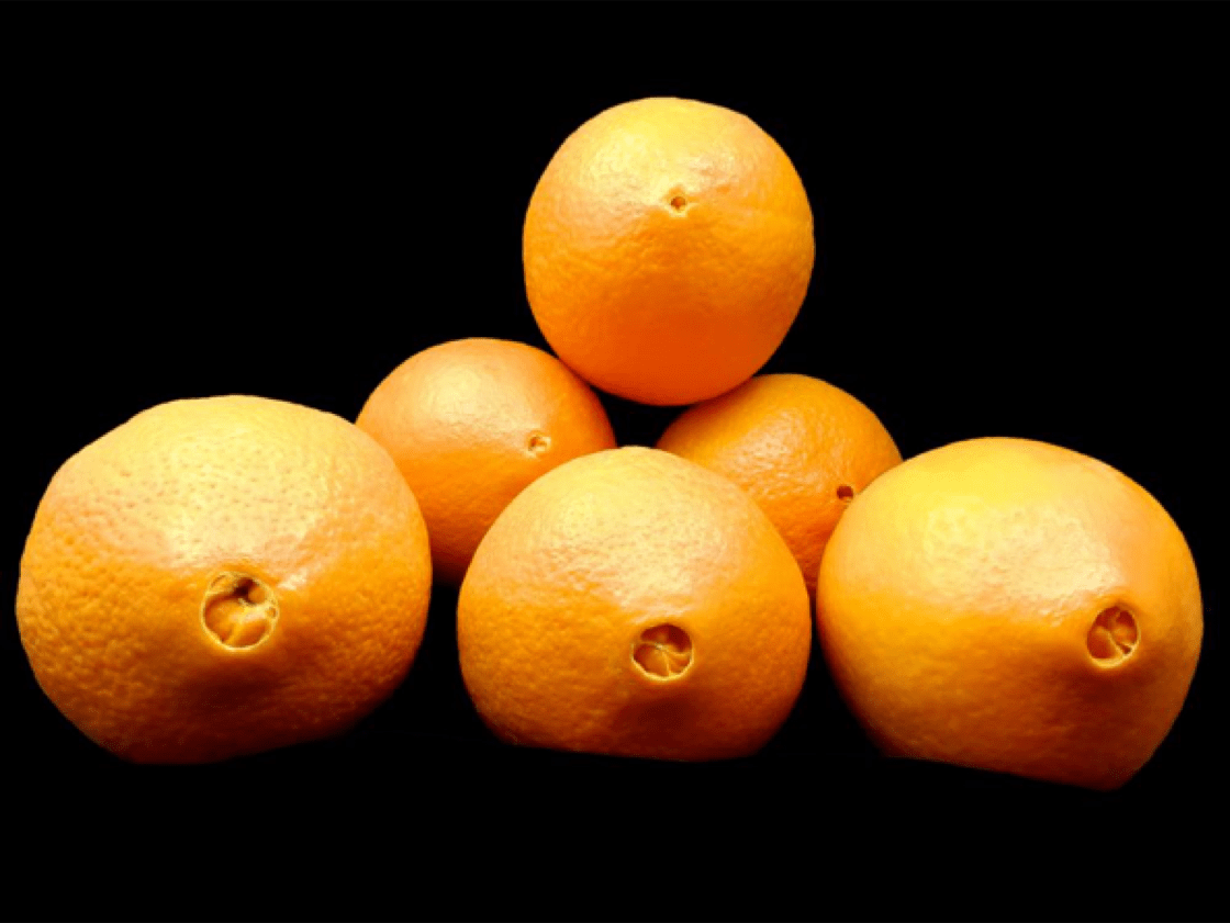 Mandarin and Navel Oranges