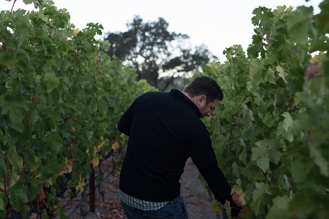 Winemaker Spotlight: Julien Fayard