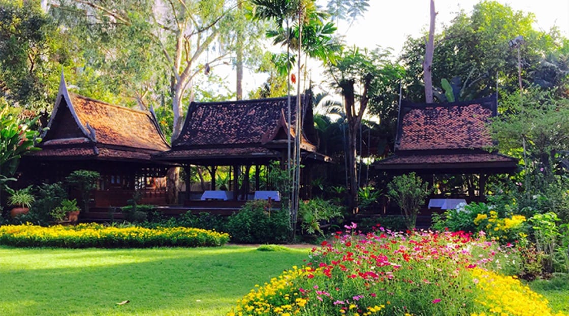 A patch of greenery near the city at Suan Thip. Photo courtesy of Suan Thip.