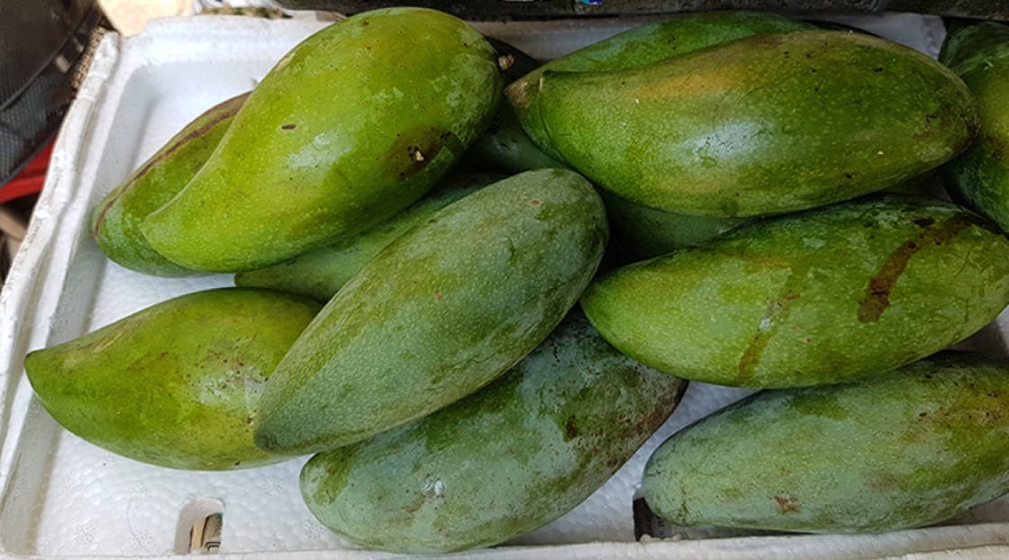 Mango Varieties - Types of Mangoes