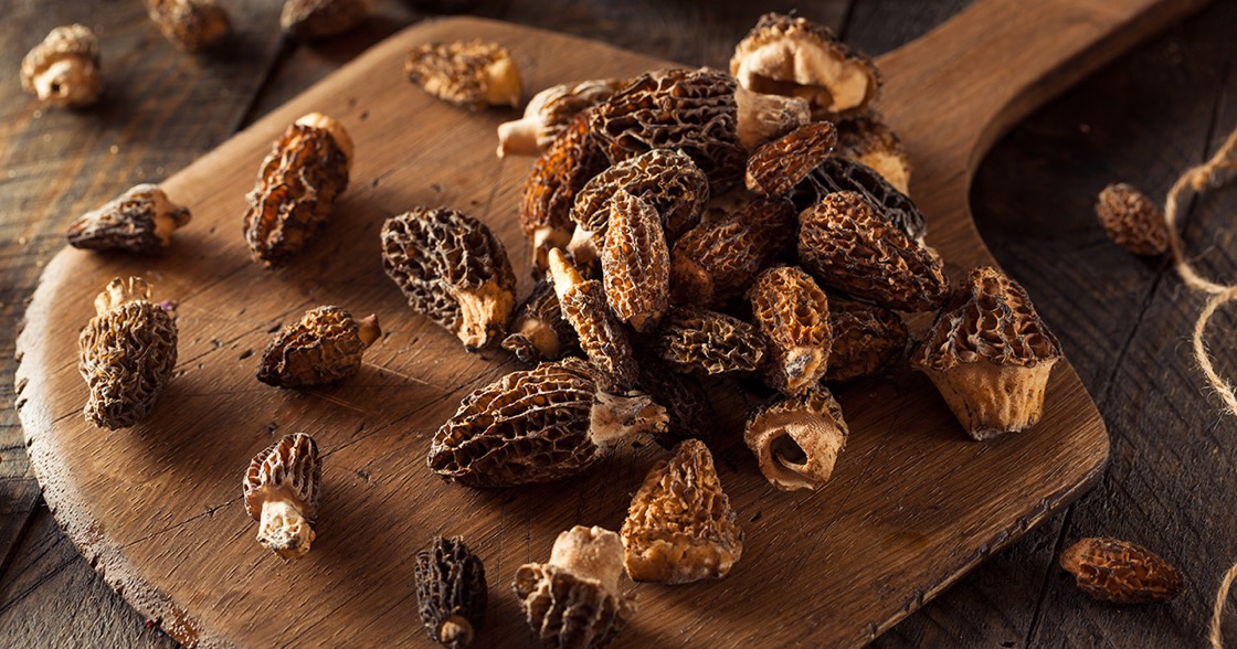 Ingredient Spotlight Morel Mushrooms