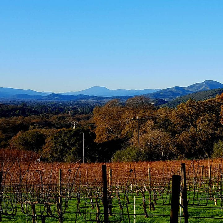 Today, Farella Vineyard is planted with Cabernet Sauvignon, Merlot, Syrah, Chardonnay and Sauvignon Blanc. 