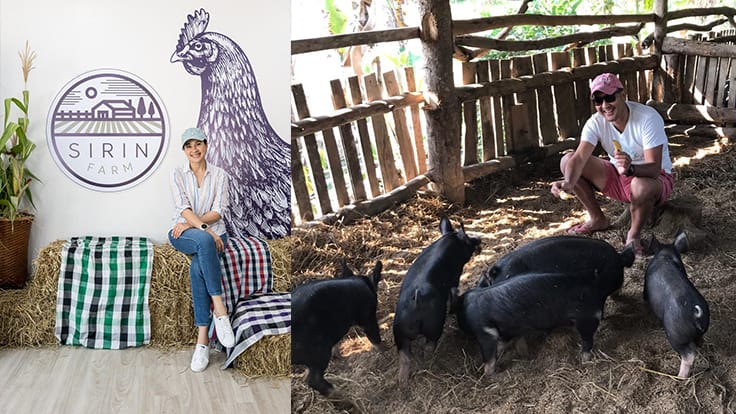 Left: Kathaleeya McIntosh at Sirin Farm's souvenir shop in Chiang Rai.<br>Right: Songkran Grachangnetara with baby Berkshire pigs.