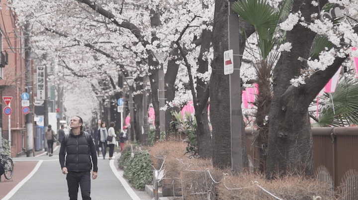 Myers looks at the arrival of spring time, which is marked by the blooming of sakura flowers, as a whole new clean slate to begin creating dishes again.