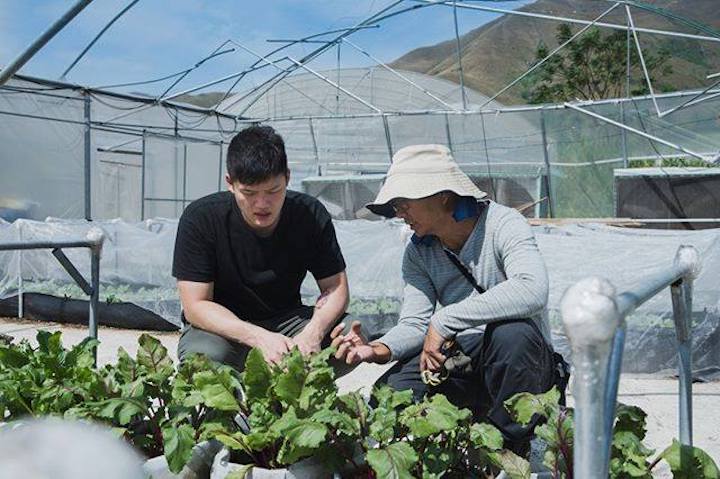 Chef Barry Quek was intrigued by the quantity of organic vegetable farms in Hong Kong. (Photo: Beet)