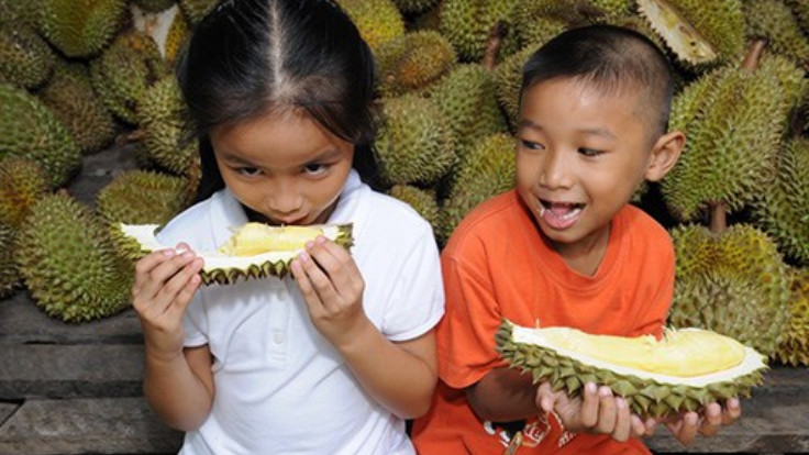 Fruits Orchard Tour. Photo credit TAT