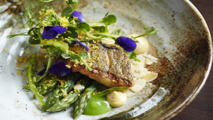 Purslane - Cheltenham