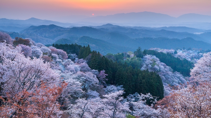 A native of the Nara prefecture in Japan, Yamashita draws on nature for his culinary inspiration.