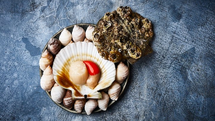 A dish of Scallop, fresh from the cold North Atlantic Ocean.