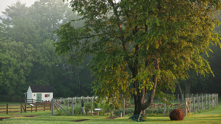 The Inn at Little Washington. Photo by Gordon Beall