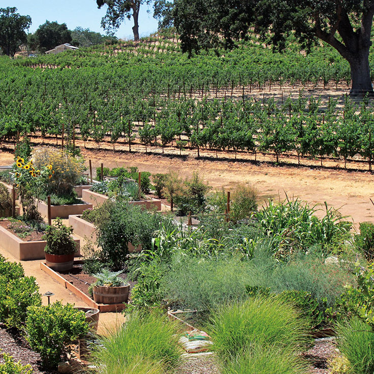 The Restaurant at Justin's vineyard garden © JUSTIN Vineyards and Winery/The Restaurant at Justin