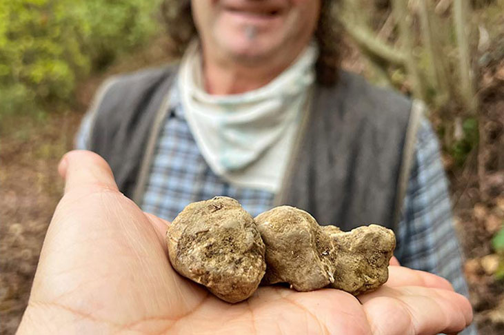 Digging holes for earthy nuggets/ © Monica Larner