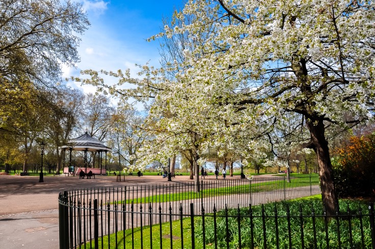 Beautiful blossom in Hyde Park. © Vladislav Zolotov/iStock