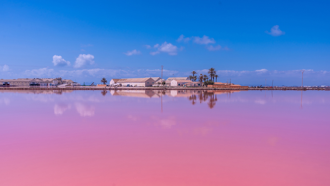 Salinas rosadas de San Pedro del Pinatar, pueblo costero de Murcia. © Unaihuiziphotography/iStock