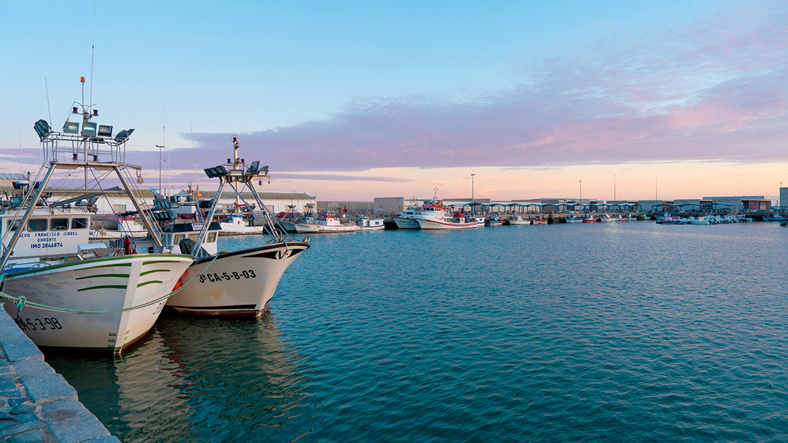 En el muelle del puerto de Barbate, en la provincia de Cádiz. © MEDITERRANEAN/iStock
