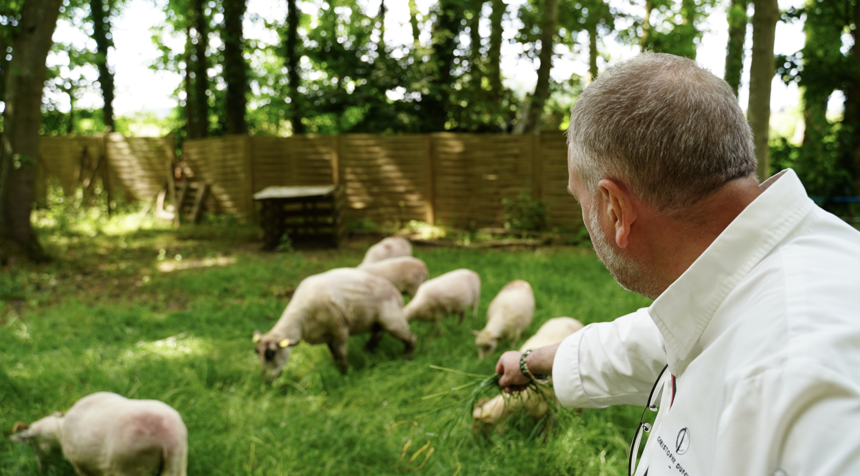 Christophe Dufossé et les moutons du domaine de Beaulieu © Tina Meyer