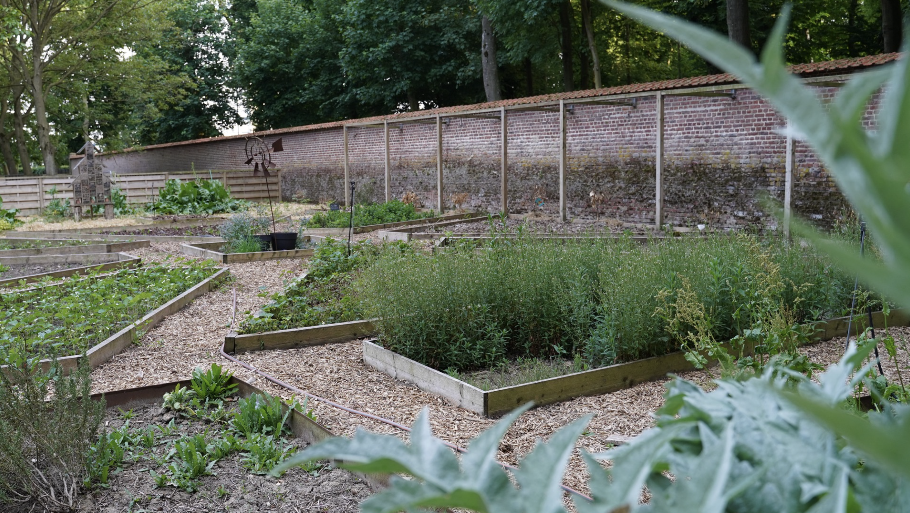 Le potager de La Fermette du Château de Beaulieu © Tina Meyer