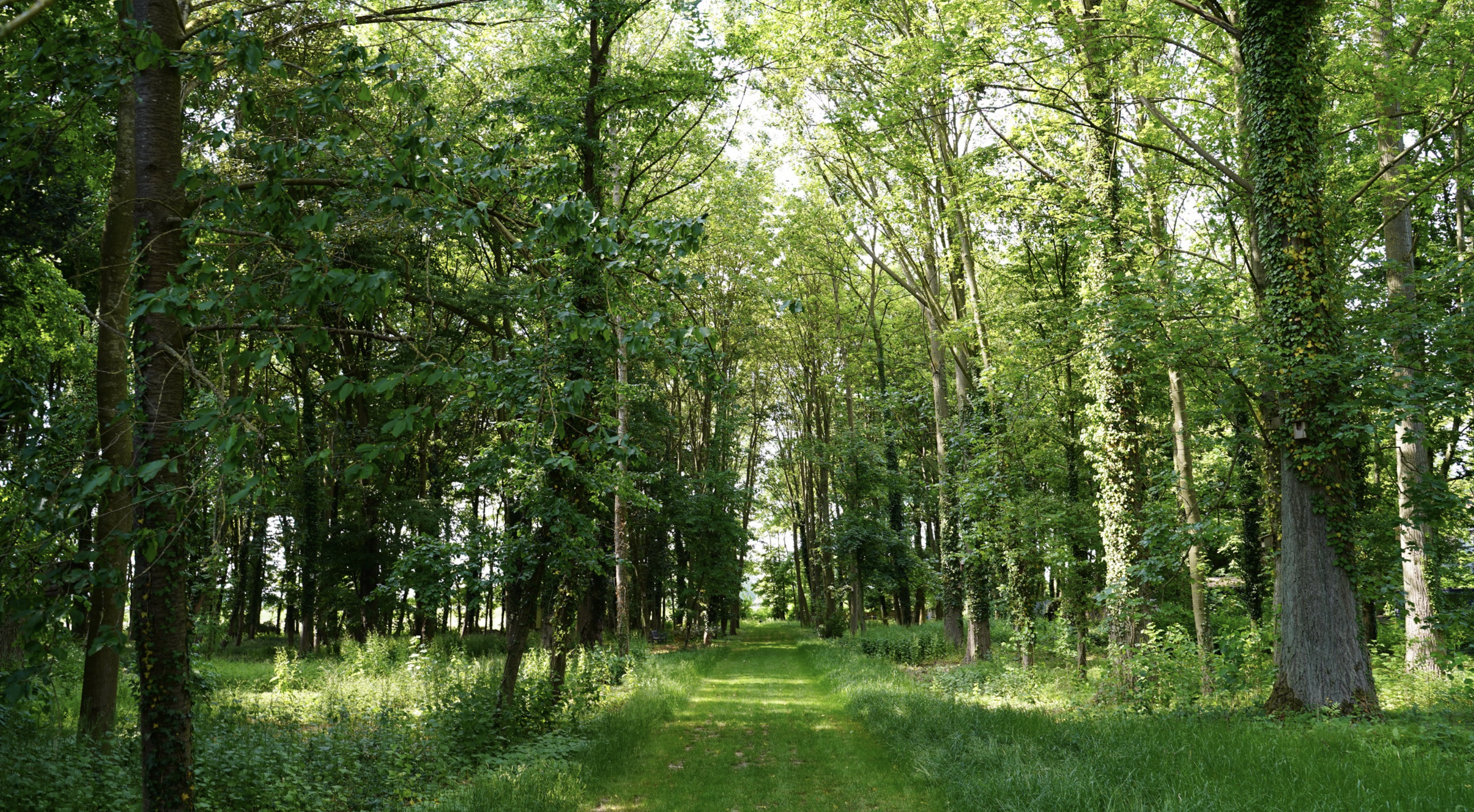 Des chemins ont été créés pour que les clients puissent courir sur 1,5 km sans quitter le domaine. © Tina Meyer