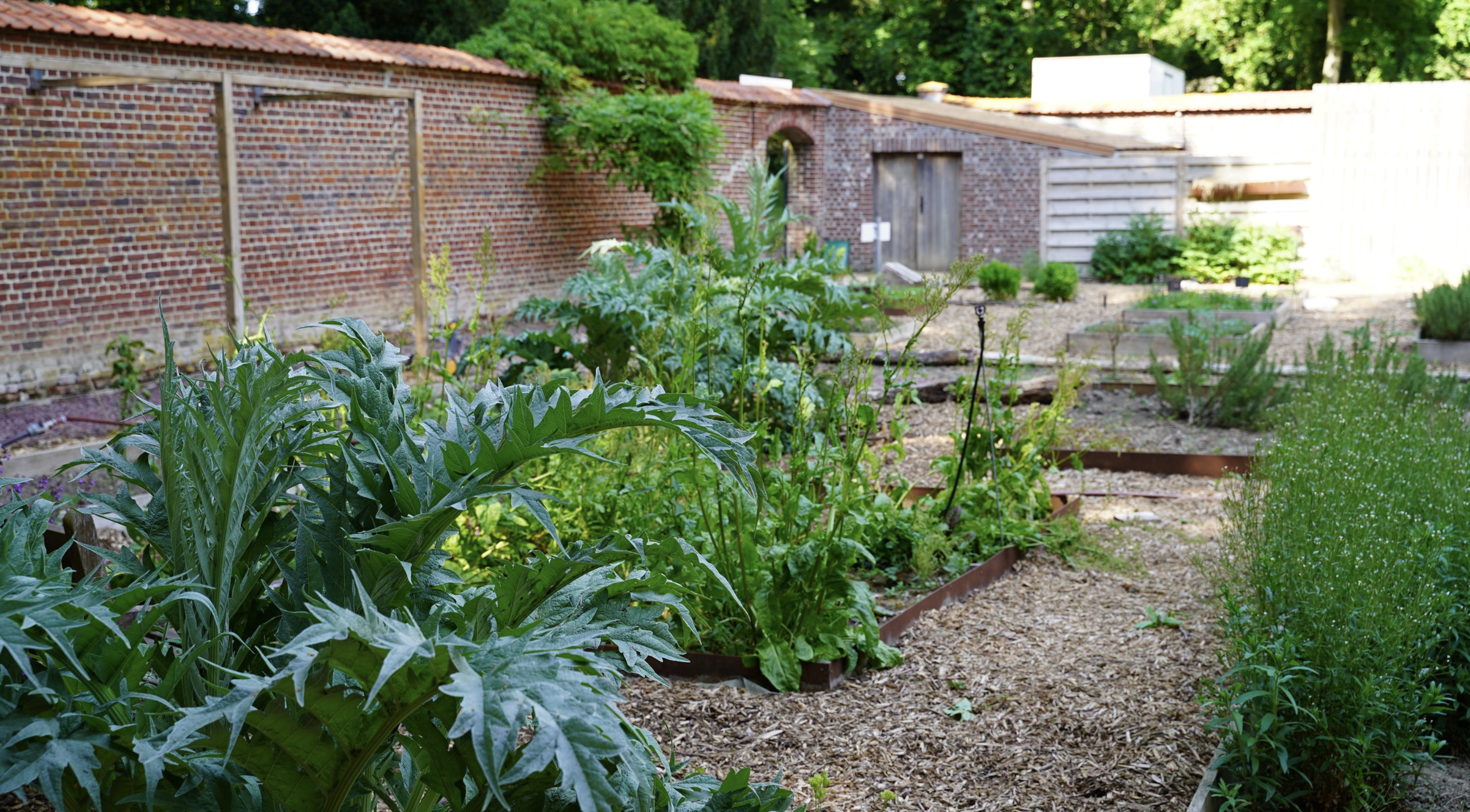 Le petit potager de La Fermette du domaine de Beaulieu © Tina Meyer