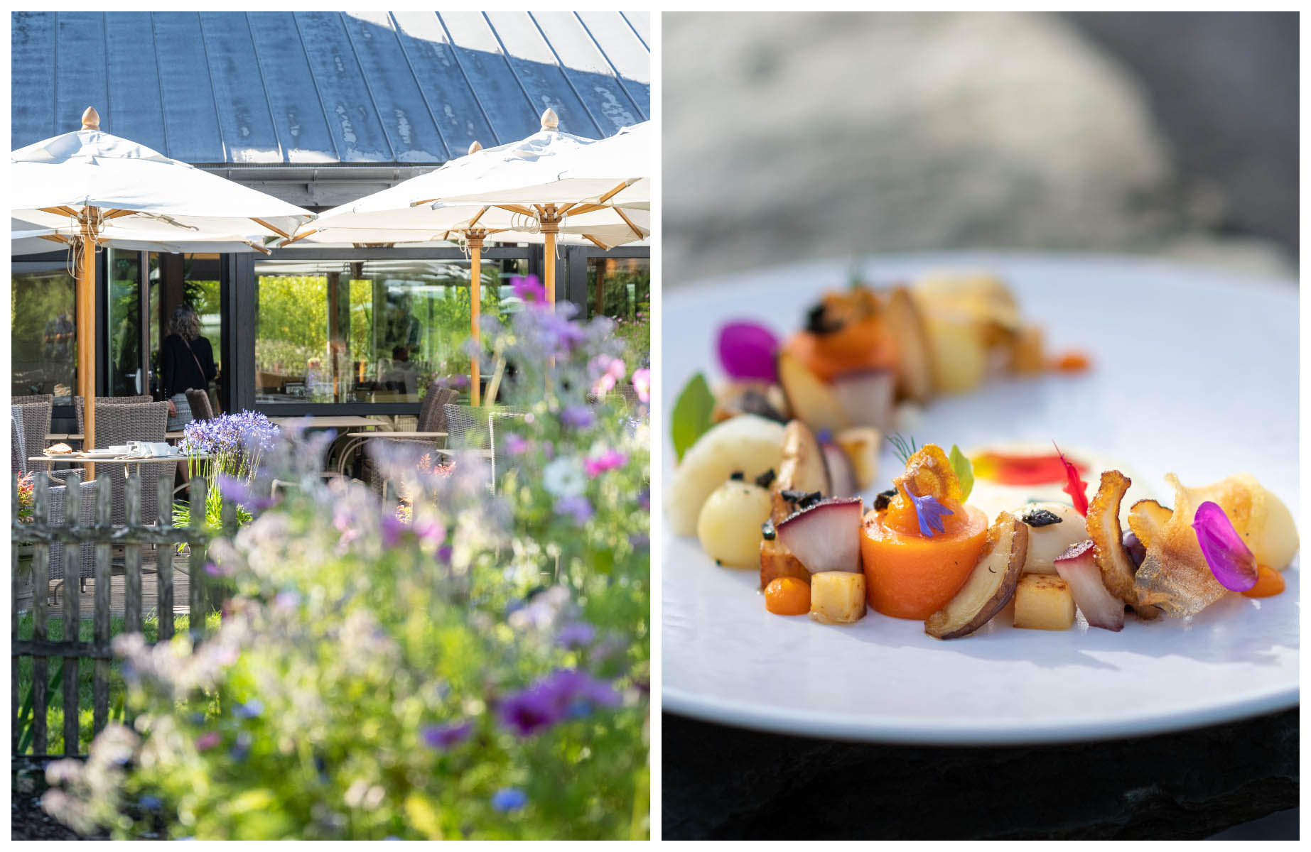 À la table des Jardins Sauvages les plats sont cuisinés à partir de produits bios, locaux et de saison. © Emmanuel Berthier/Les Jardins Sauvages