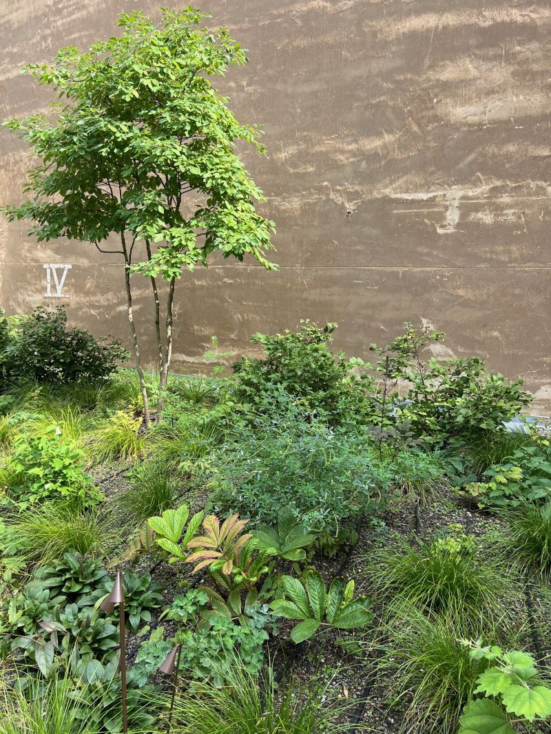 Bepflanzung im Hof IV © Le Guide MICHELIN