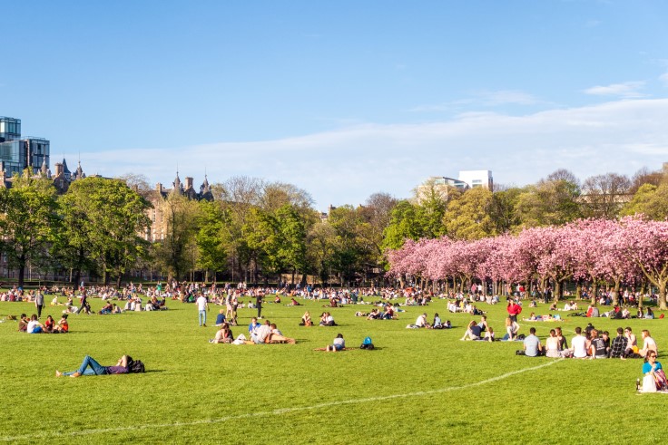 The sun shining over The Meadows in Marchmont, Stuart Ralston's favourite Edinburgh neighbourhood. © georgeclerk/iStock