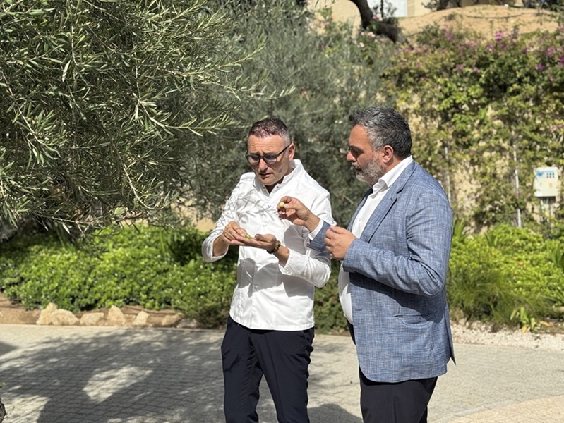 Il direttore Vito Spalluto e lo chef Pasquale D_Ambrosio e la raccolta delle olive_credit_Annalisa Cavaleri