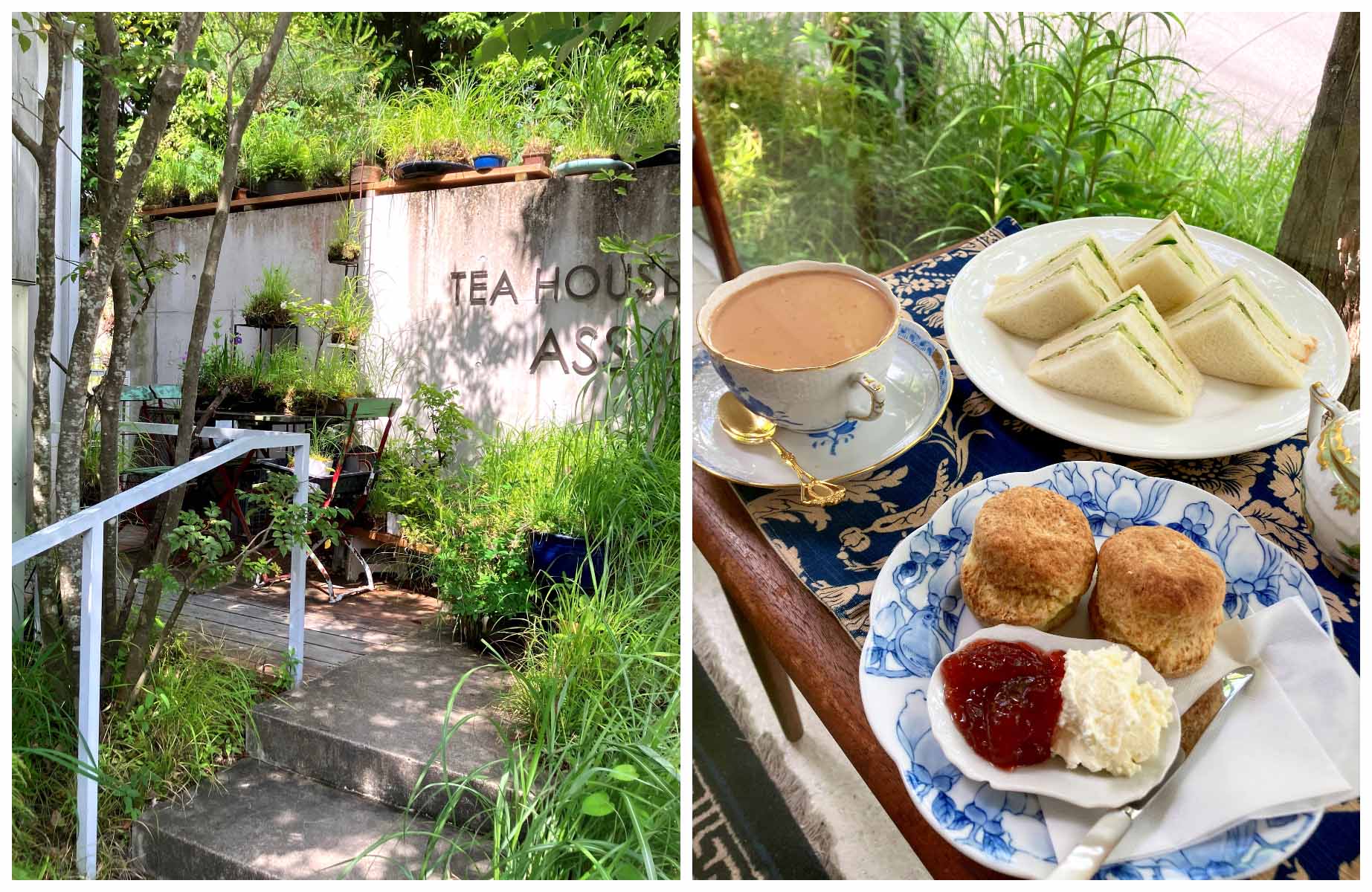 Cucumber sandwiches, scones, and royal milk tea served at Teahouse Assam, a peaceful spot surrounded by greenery. © Tea House Assam