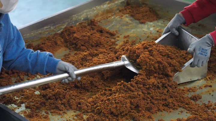 Master Zhang’s Brown Sugar continues a second-generation legacy rooted in natural, pesticide-free farming and labor-intensive handmade techniques.