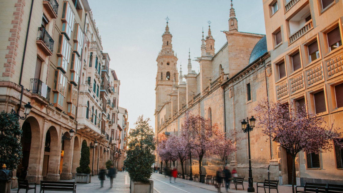 Calle porticada de la ciudad de Logroño, junto a la Concatedral Santa María de La Redonda. © MarioGuti/iStock