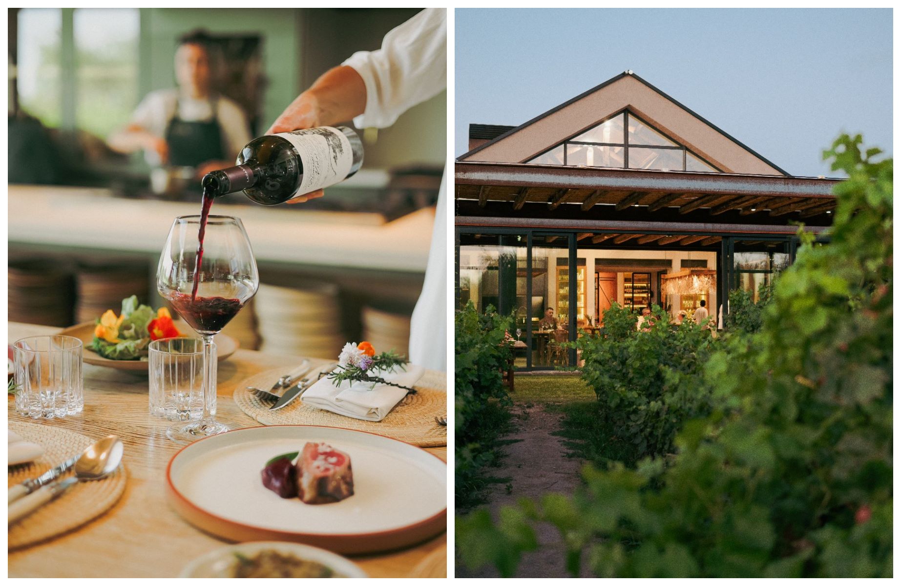 Zonda Cocina de Paisaje offers farm-to-table dining and cooking workshops framed by verdant vineyards, pairing Lagarde Winery’s terroir-driven Malbec with Andean flavors. © Zonda Cocina de Paisaje