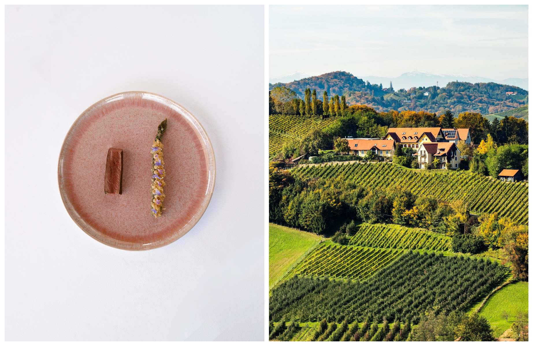 At Sattlerhof in Styria, enjoy garden-driven cuisine paired with estate and global wines, set amid manicured vineyards that can be explored by e-bike and hiking trails. © Conversion Club/Sattlerhof