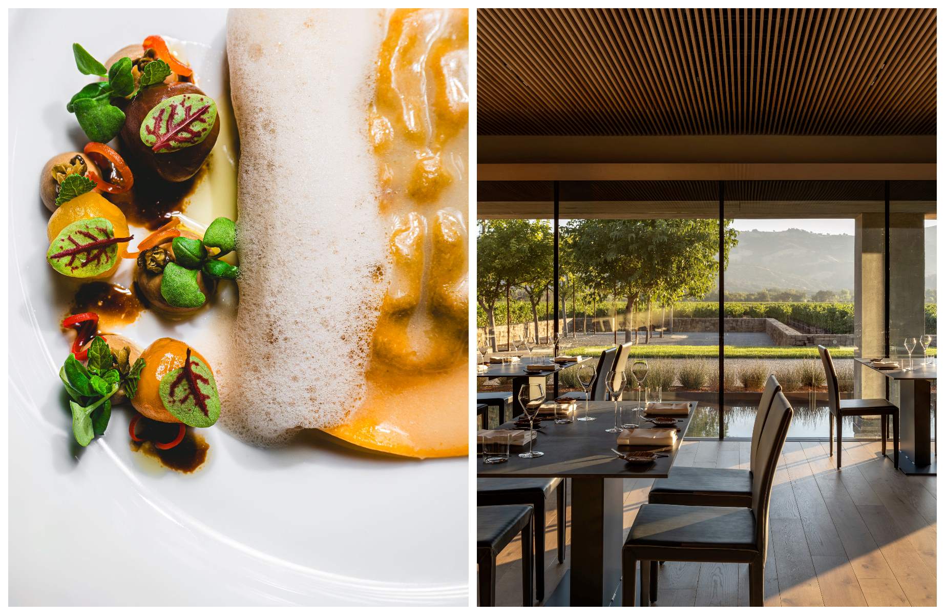 Cyrus has sweeping views of Alexander Valley’s cabernet sauvignon vines from its ultramodern dining room. © (L) J. Evan_Published Copyright Aaron Leitz/Cyrus