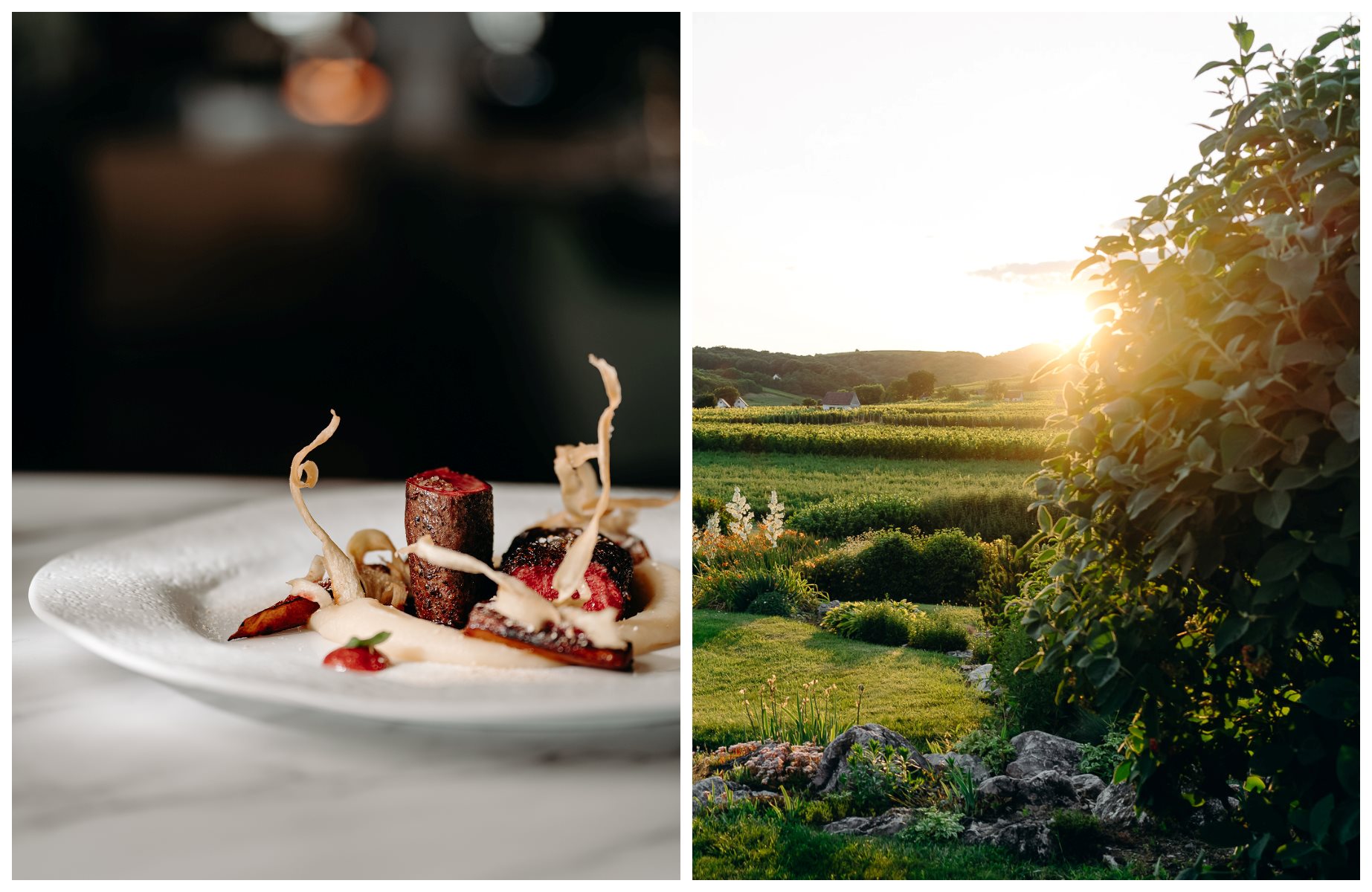 At Sauska 48 in Villány, enjoy homestyle Hungarian dishes paired with regional reds and rosés, all framed by the winery’s vineyard views from the terrace. © Gábor Eszterle/Sauska 48