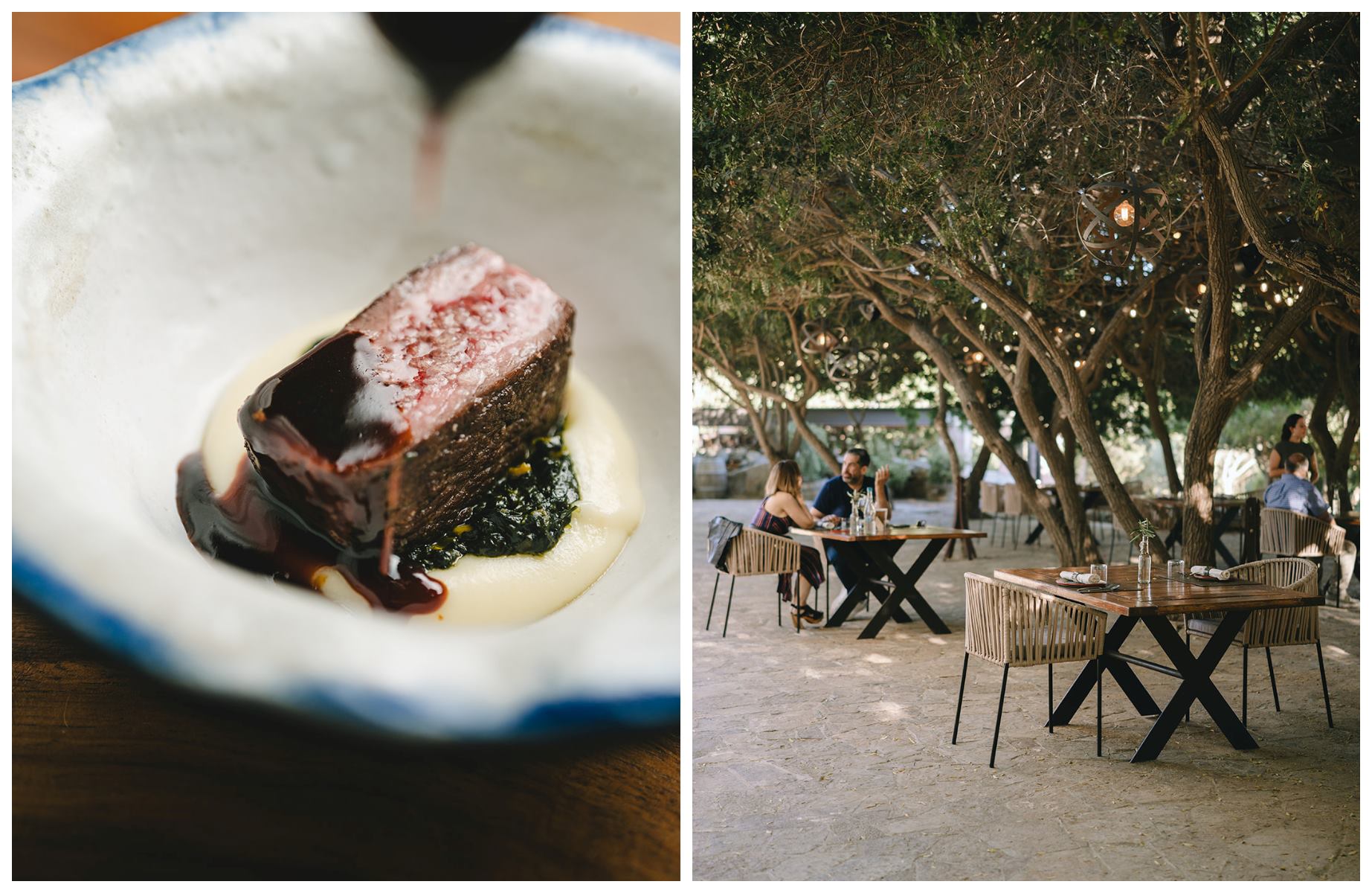 In Valle de Guadalupe, Damiana blends into Viñedos de la Reina’s vineyards, pairing award-winning wines with a MICHELIN-Starred tasting menu by Chef Esteban Luis, inspired by Baja’s local bounty. © Jimena Solis- Technicolor Creative Studio/Damiana