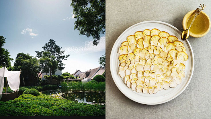 Taubenkobel Pond and Caesar Mushrooms in the Greisslerei © Taubenkobel