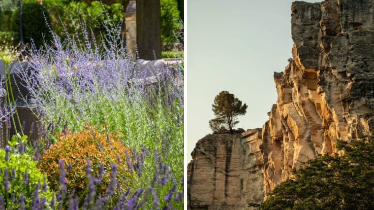 Parfums de lavande et roches brutes, l'authenticité provençale séduit le chef © G. Gleize / L'Oustau de Baumanière