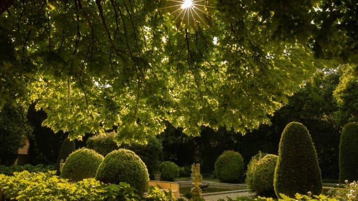La précieuse lumière de Provence invite les voyageurs à la quiétude et à la liberté © Baumanière