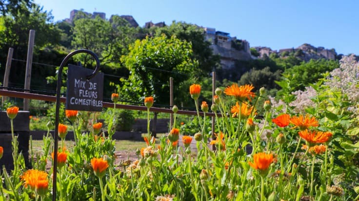 Le végétal, pierre angulaire de l'identité de l'Oustau de Baumanière, riche de jardins et potagers © DR