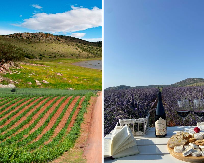 The Encomienda de Cervera winery produces organic volcanic wines and olive oil. © Encomienda de Cervera