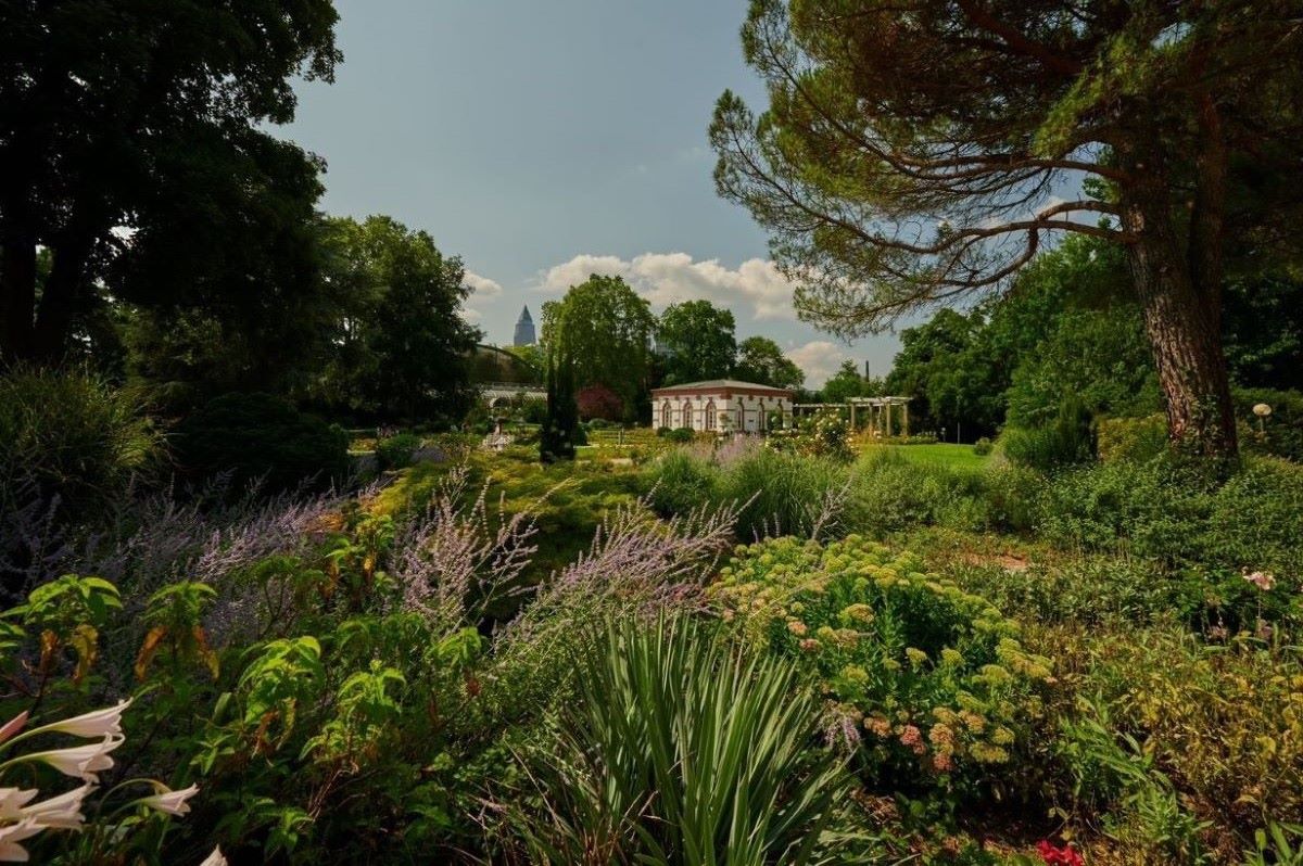 Palmengarten © Stadt Frankfurt