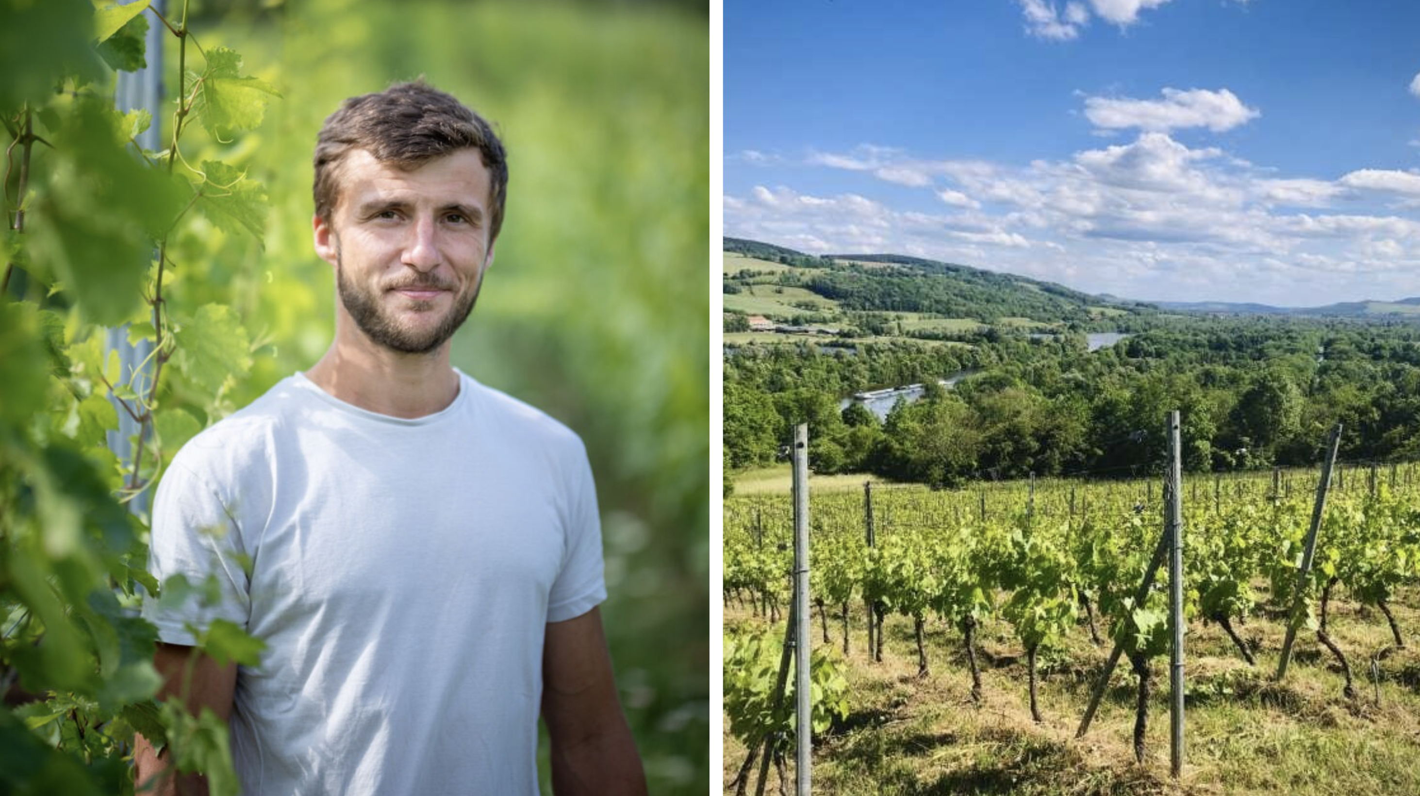 Winegrower Rémi Gauthier and his vineyards. © Attractivité Moselle